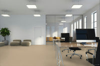 Worldwide Flooring Design Center BEWITCHED BEWITCHED Anderson Tuftex Floors