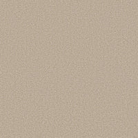 Worldwide Flooring Design Center EL DORADO EL DORADO Anderson Tuftex Floors
