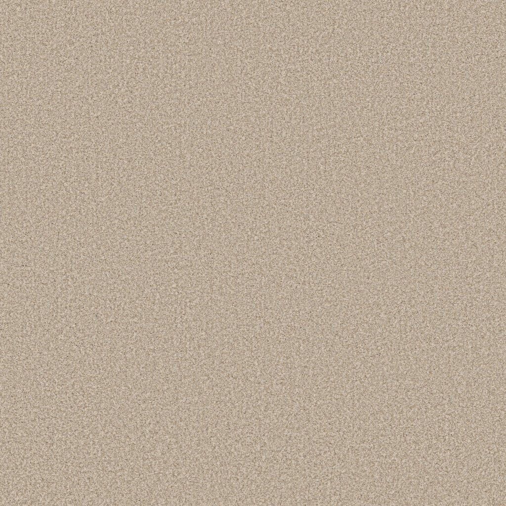Worldwide Flooring Design Center EL DORADO EL DORADO Anderson Tuftex Floors