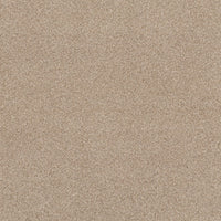 Worldwide Flooring Design Center COPA CABANA COPA CABANA Anderson Tuftex Floors