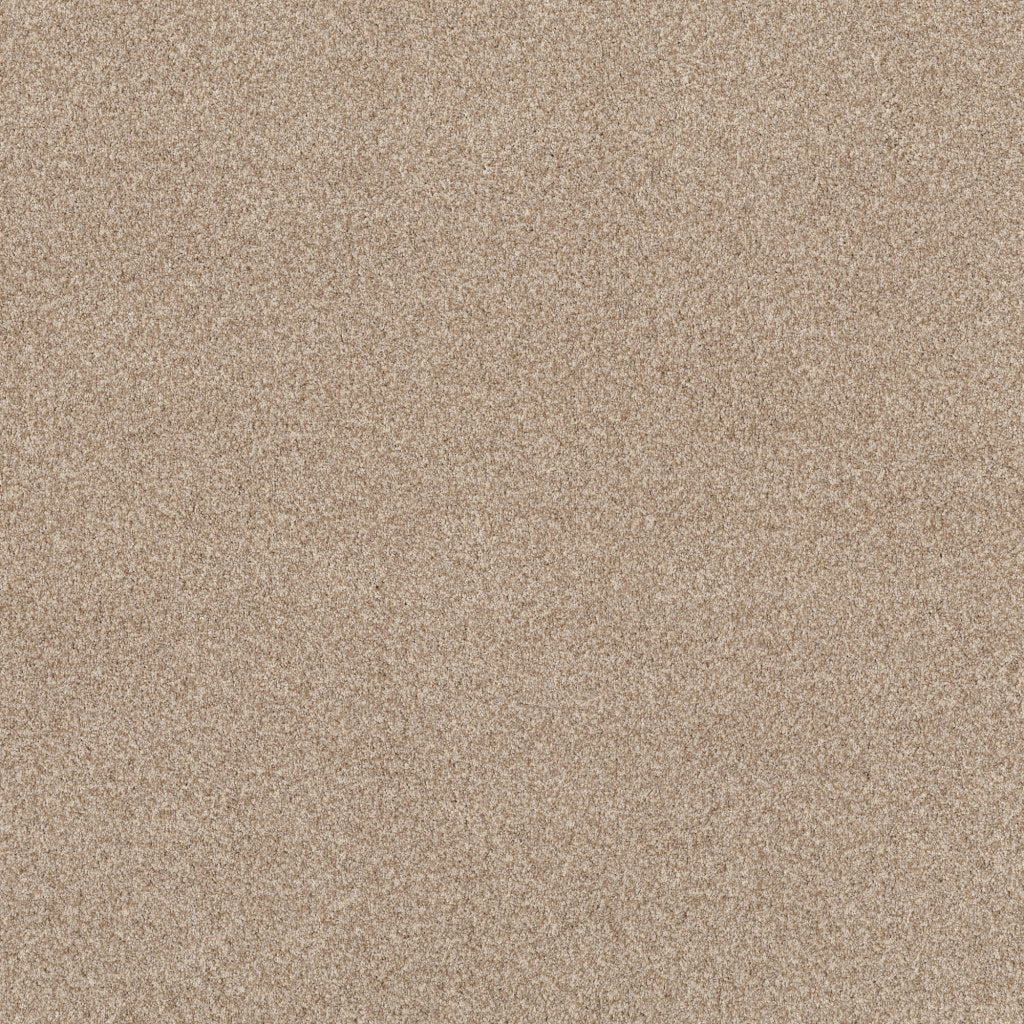 Worldwide Flooring Design Center COPA CABANA COPA CABANA Anderson Tuftex Floors