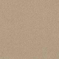 Worldwide Flooring Design Center COPA CABANA COPA CABANA Anderson Tuftex Floors