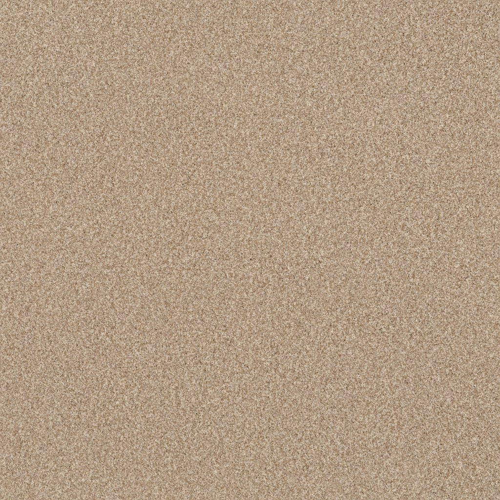 Worldwide Flooring Design Center COPA CABANA COPA CABANA Anderson Tuftex Floors