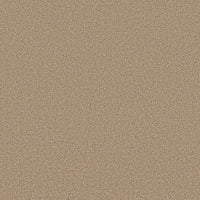 Worldwide Flooring Design Center EL DORADO EL DORADO Anderson Tuftex Floors