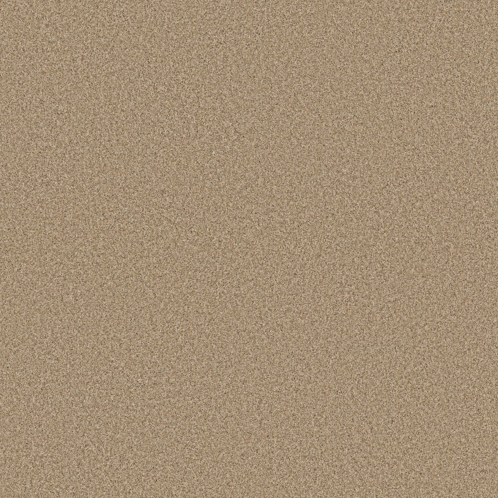 Worldwide Flooring Design Center SIGNATURE SIGNATURE Anderson Tuftex Floors