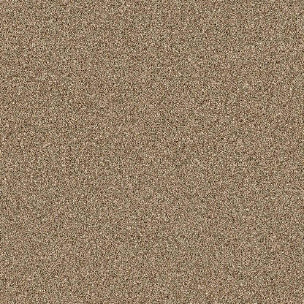 Worldwide Flooring Design Center SIGNATURE SIGNATURE Anderson Tuftex Floors
