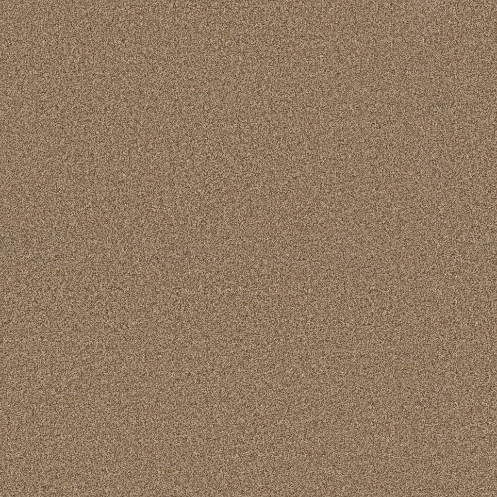 Worldwide Flooring Design Center EL DORADO EL DORADO Anderson Tuftex Floors
