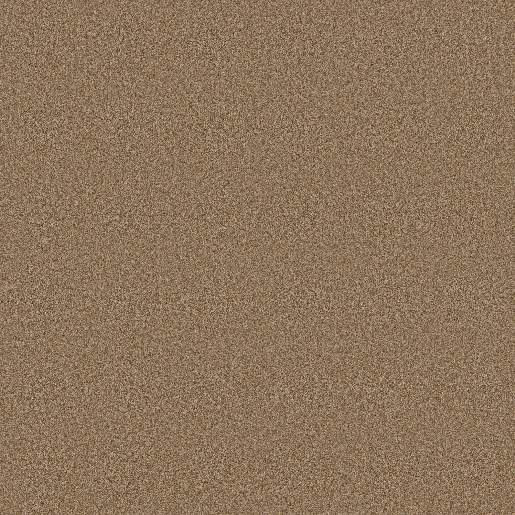 Worldwide Flooring Design Center SIGNATURE SIGNATURE Anderson Tuftex Floors