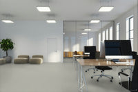 Worldwide Flooring Design Center BEWITCHED BEWITCHED Anderson Tuftex Floors
