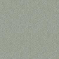 Worldwide Flooring Design Center COSMOPOLITAN COSMOPOLITAN Anderson Tuftex Floors