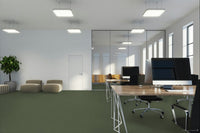 Worldwide Flooring Design Center BEWITCHED BEWITCHED Anderson Tuftex Floors
