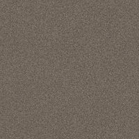 Worldwide Flooring Design Center COPA CABANA COPA CABANA Anderson Tuftex Floors
