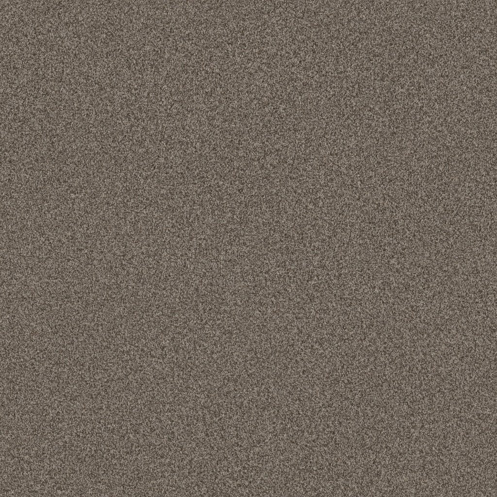 Worldwide Flooring Design Center COPA CABANA COPA CABANA Anderson Tuftex Floors