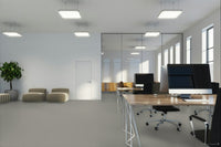 Worldwide Flooring Design Center CATALINA CATALINA Anderson Tuftex Floors