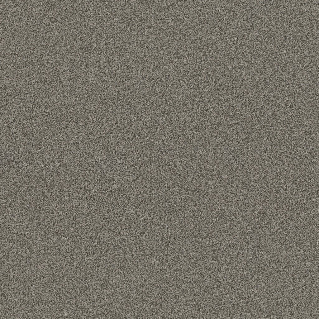 Worldwide Flooring Design Center EL DORADO EL DORADO Anderson Tuftex Floors