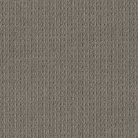 Worldwide Flooring Design Center DELIGHTFULLY DELIGHTFULLY Anderson Tuftex Floors