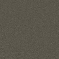 Worldwide Flooring Design Center COSMOPOLITAN COSMOPOLITAN Anderson Tuftex Floors