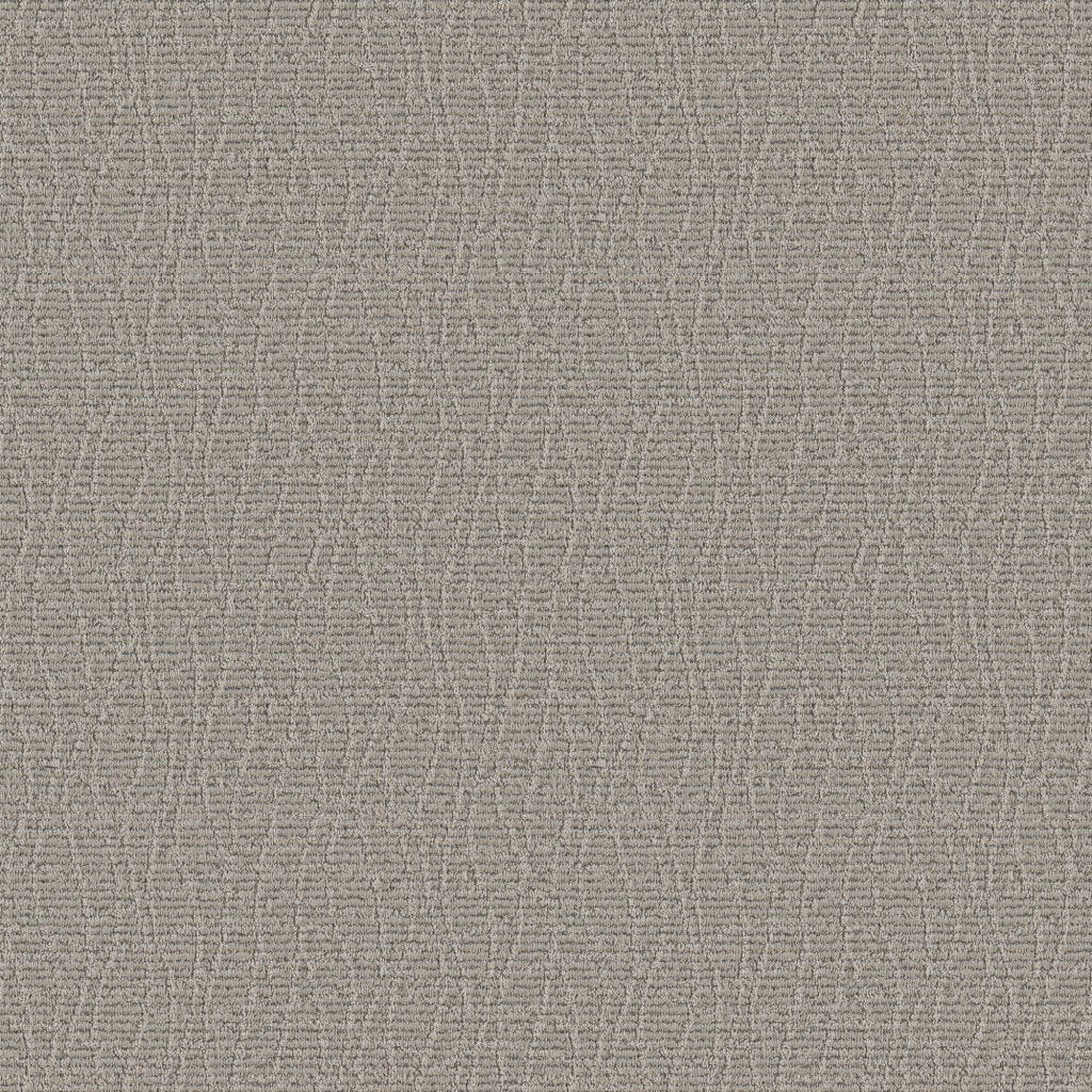 Worldwide Flooring Design Center SMALL TALK SMALL TALK Anderson Tuftex Floors