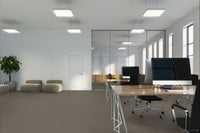 Worldwide Flooring Design Center CATALINA CATALINA Anderson Tuftex Floors