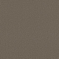 Worldwide Flooring Design Center EL DORADO EL DORADO Anderson Tuftex Floors