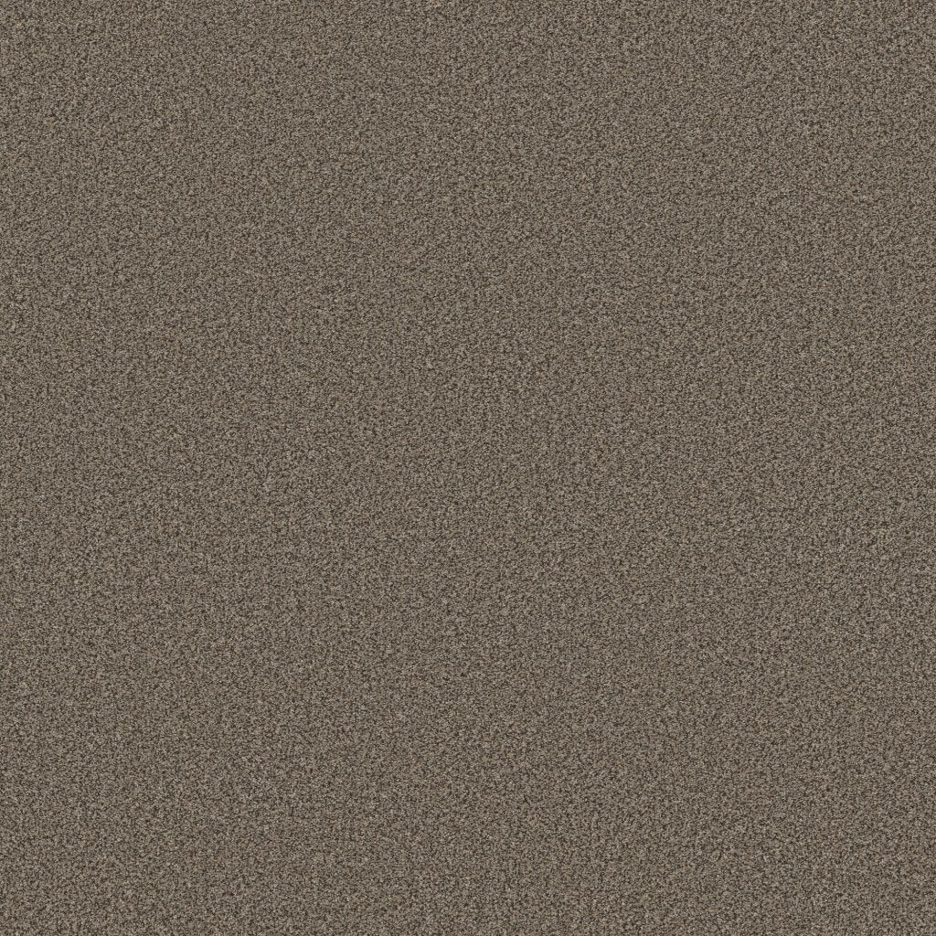 Worldwide Flooring Design Center EL DORADO EL DORADO Anderson Tuftex Floors