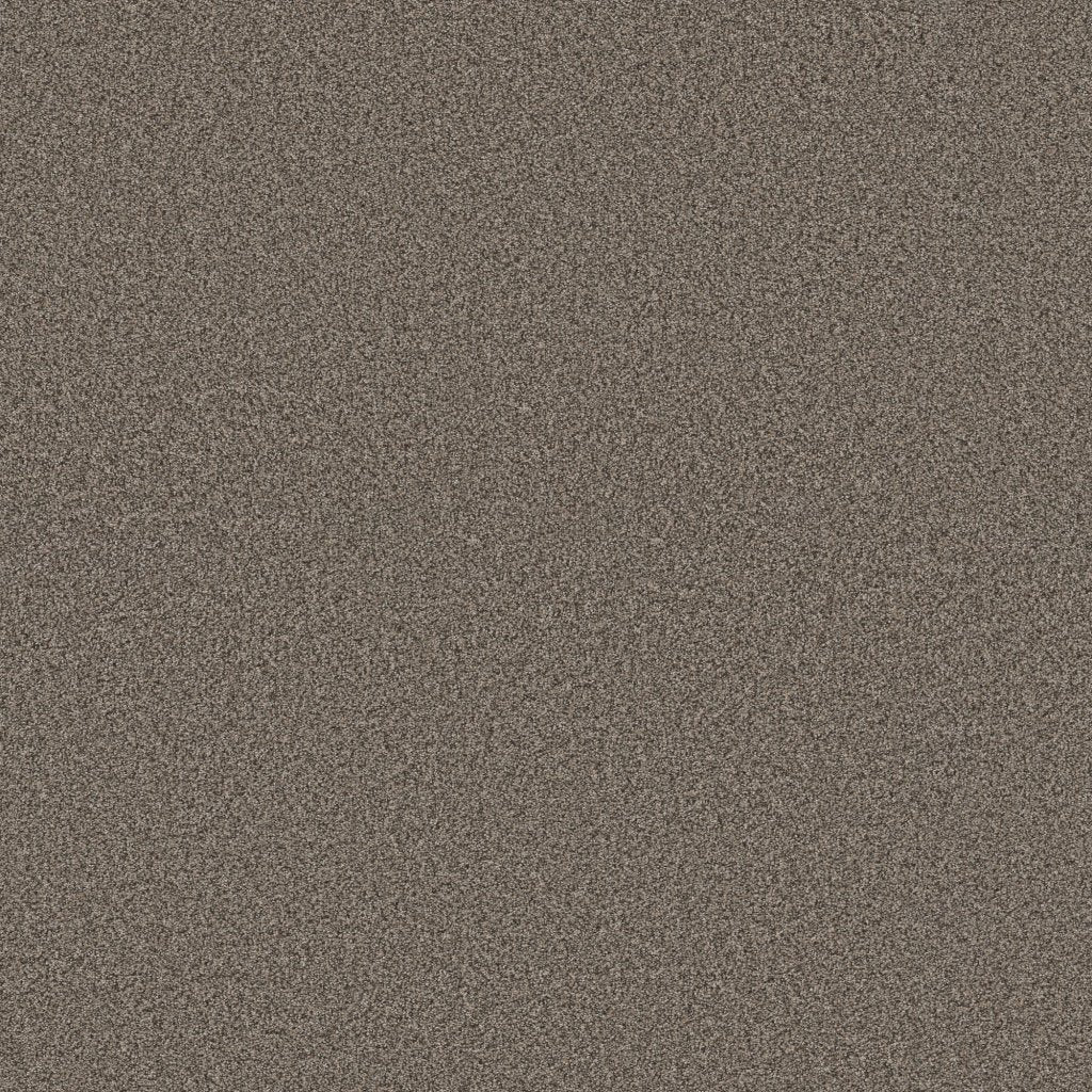 Worldwide Flooring Design Center SIGNATURE SIGNATURE Anderson Tuftex Floors