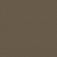 Worldwide Flooring Design Center COSMOPOLITAN COSMOPOLITAN Anderson Tuftex Floors