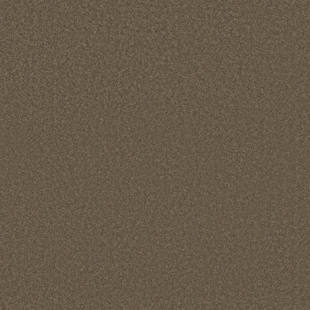 Worldwide Flooring Design Center COSMOPOLITAN COSMOPOLITAN Anderson Tuftex Floors