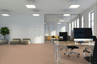 Worldwide Flooring Design Center BEWITCHED BEWITCHED Anderson Tuftex Floors