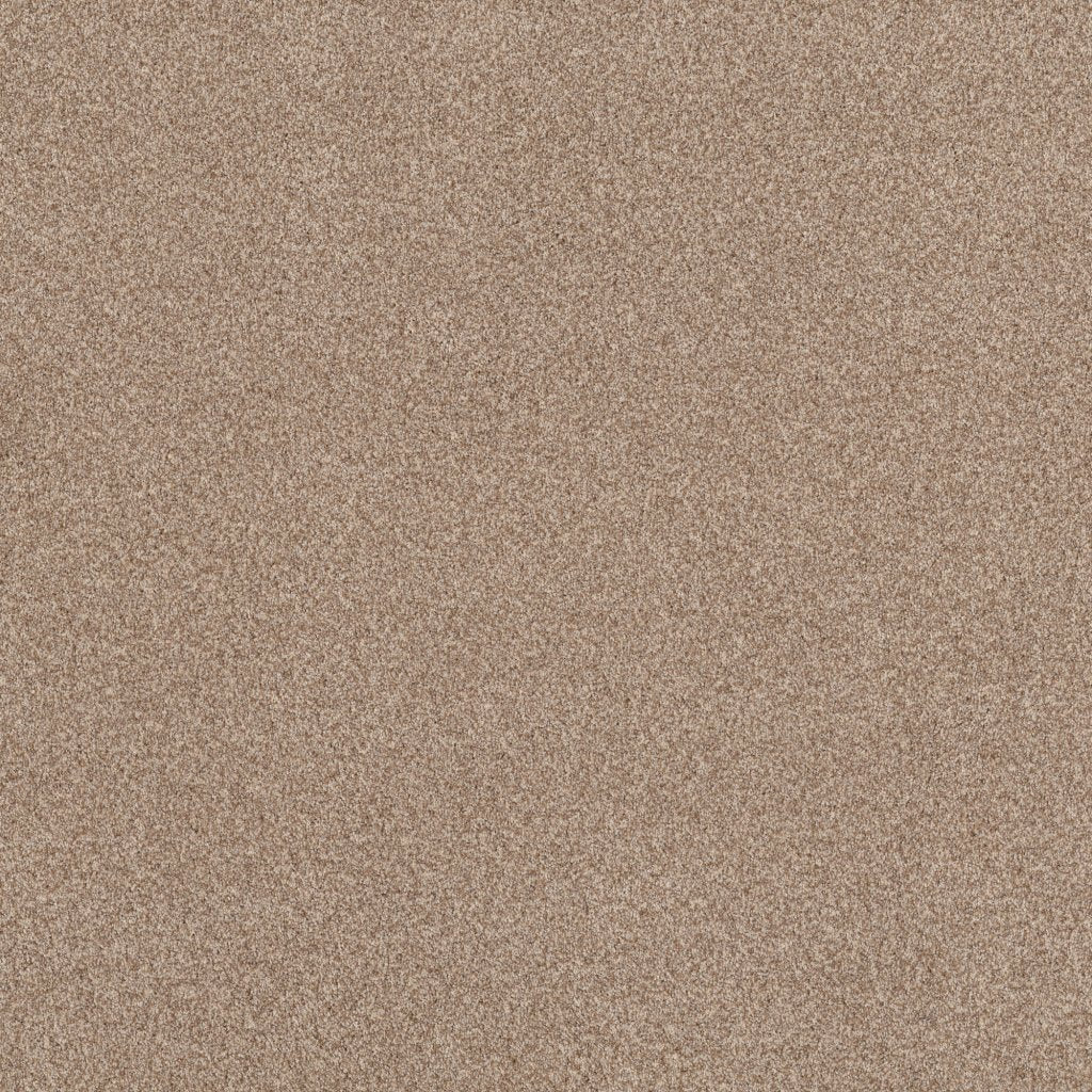 Worldwide Flooring Design Center COPA CABANA COPA CABANA Anderson Tuftex Floors