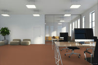 Worldwide Flooring Design Center BEWITCHED BEWITCHED Anderson Tuftex Floors