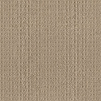 Worldwide Flooring Design Center DELIGHTFULLY DELIGHTFULLY Anderson Tuftex Floors
