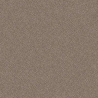 Worldwide Flooring Design Center COPA CABANA COPA CABANA Anderson Tuftex Floors