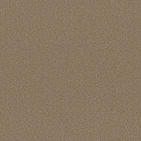 Worldwide Flooring Design Center EL DORADO EL DORADO Anderson Tuftex Floors