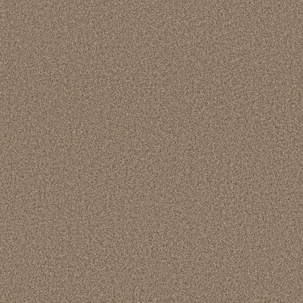 Worldwide Flooring Design Center SIGNATURE SIGNATURE Anderson Tuftex Floors