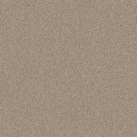 Worldwide Flooring Design Center COPA CABANA COPA CABANA Anderson Tuftex Floors