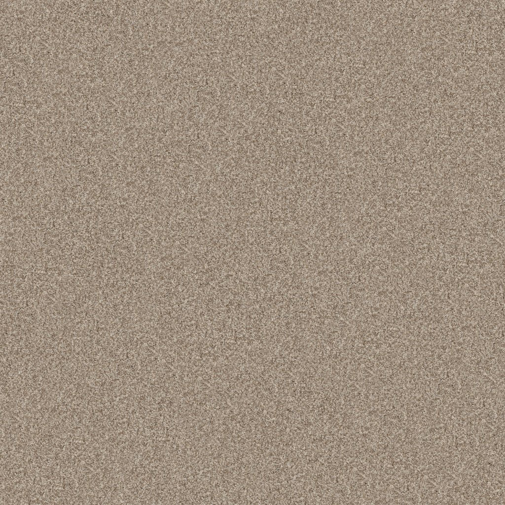 Worldwide Flooring Design Center COPA CABANA COPA CABANA Anderson Tuftex Floors