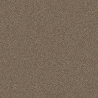Worldwide Flooring Design Center COPA CABANA COPA CABANA Anderson Tuftex Floors