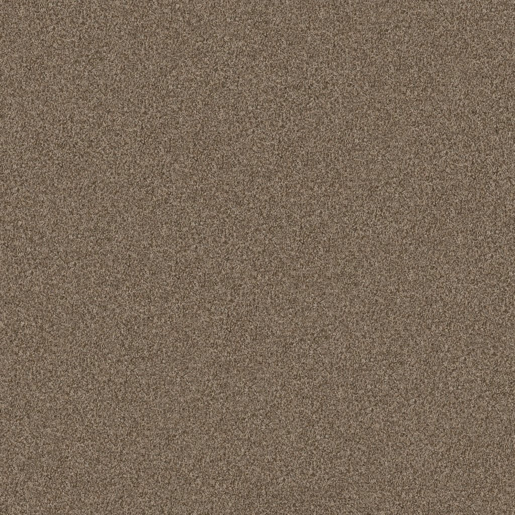 Worldwide Flooring Design Center COPA CABANA COPA CABANA Anderson Tuftex Floors