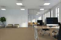 Worldwide Flooring Design Center BEWITCHED BEWITCHED Anderson Tuftex Floors
