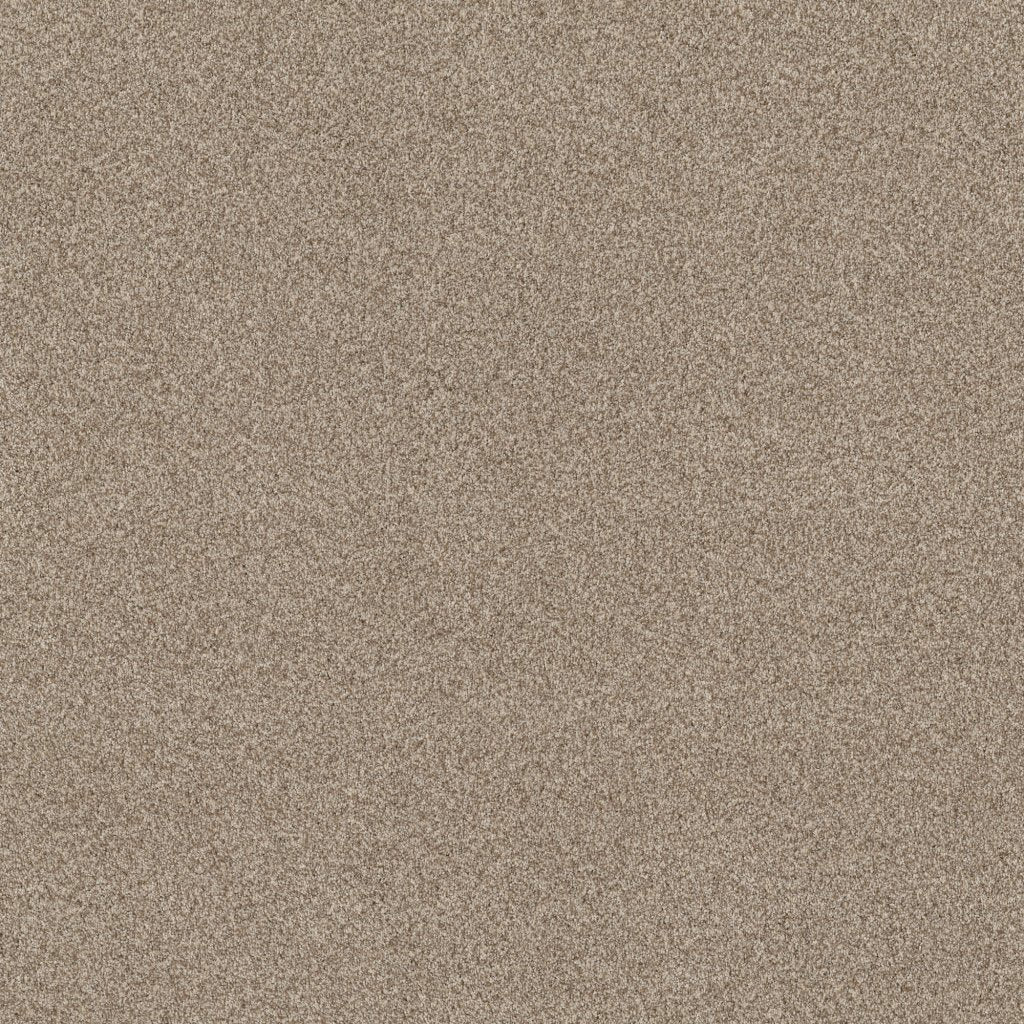 Worldwide Flooring Design Center COPA CABANA COPA CABANA Anderson Tuftex Floors
