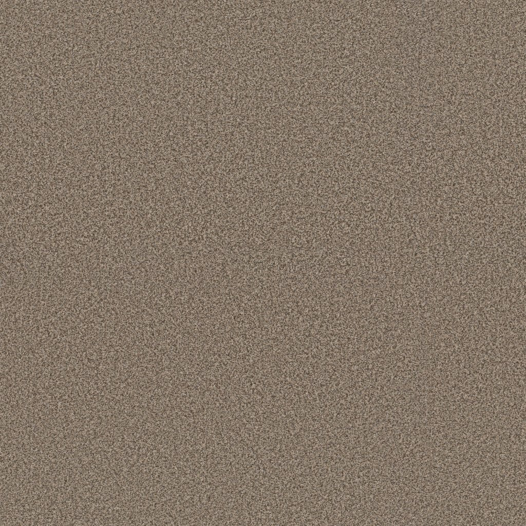 Worldwide Flooring Design Center EL DORADO EL DORADO Anderson Tuftex Floors