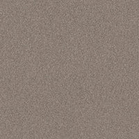 Worldwide Flooring Design Center COPA CABANA COPA CABANA Anderson Tuftex Floors