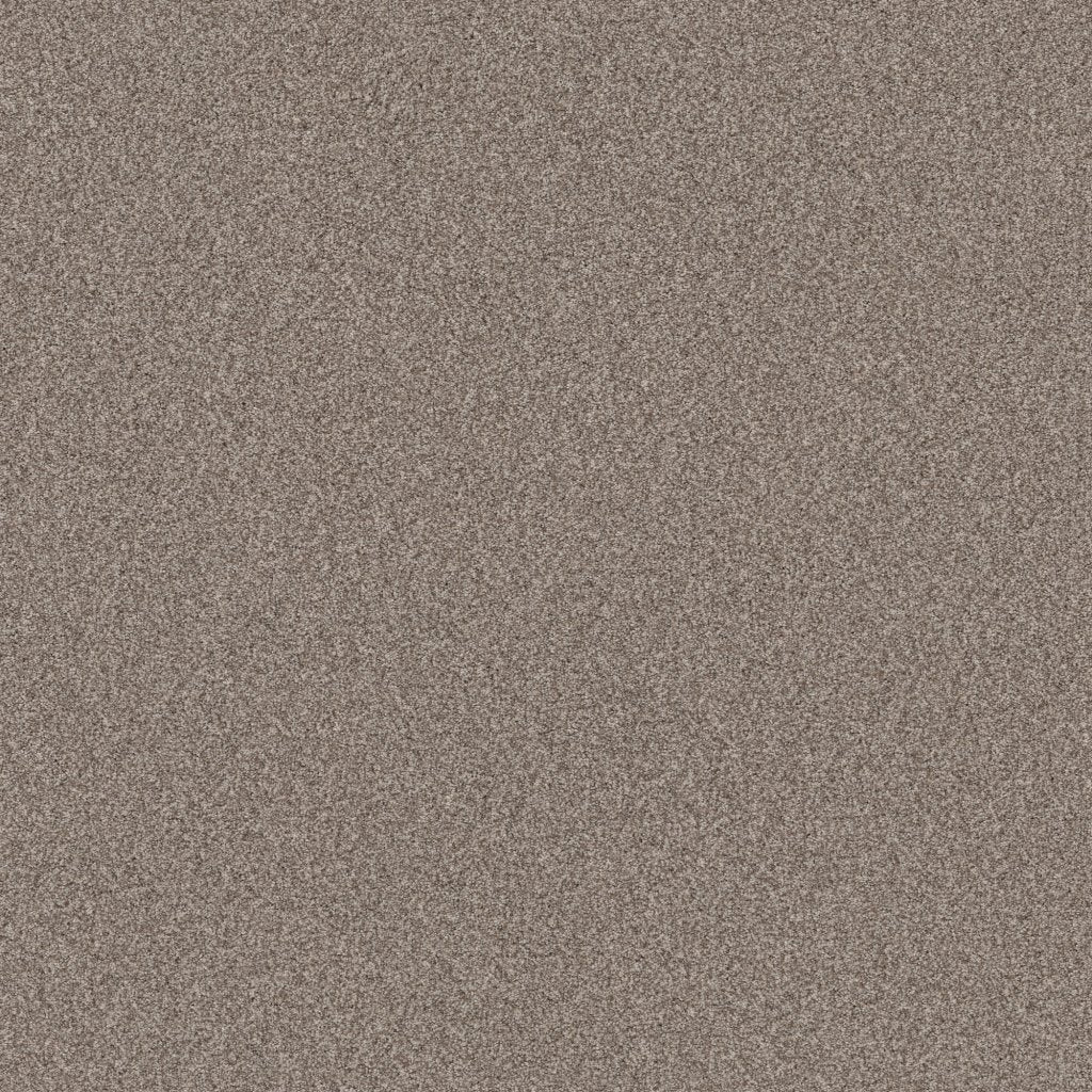 Worldwide Flooring Design Center COPA CABANA COPA CABANA Anderson Tuftex Floors
