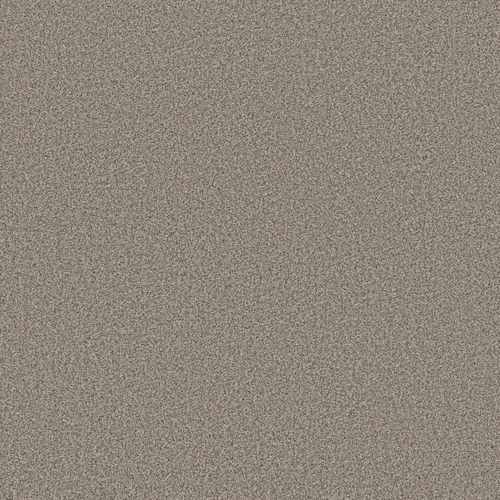 Worldwide Flooring Design Center EL DORADO EL DORADO Anderson Tuftex Floors
