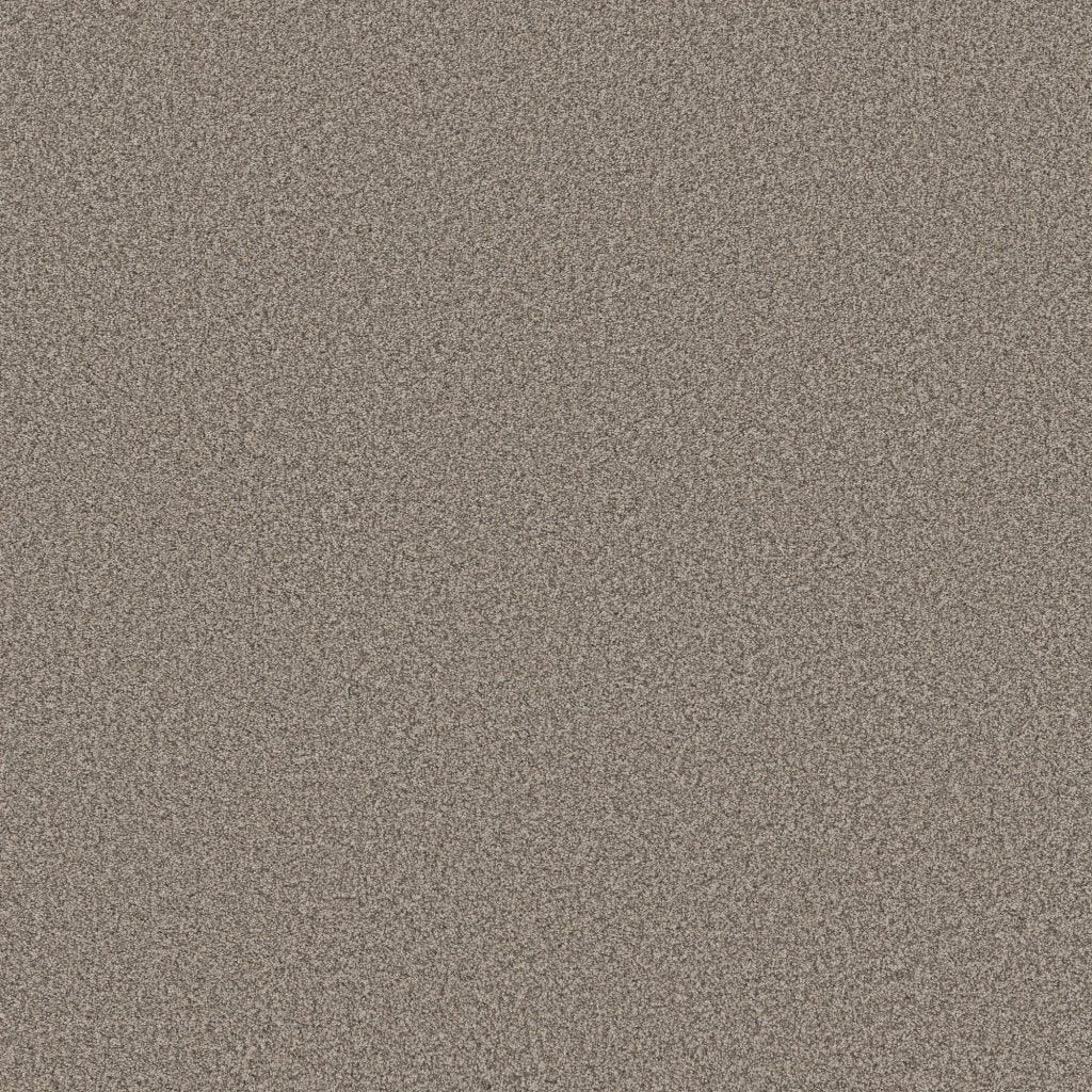Worldwide Flooring Design Center SIGNATURE SIGNATURE Anderson Tuftex Floors
