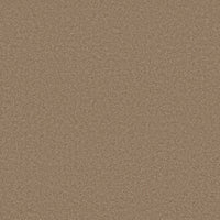 Worldwide Flooring Design Center COSMOPOLITAN COSMOPOLITAN Anderson Tuftex Floors