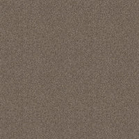 Worldwide Flooring Design Center COPA CABANA COPA CABANA Anderson Tuftex Floors