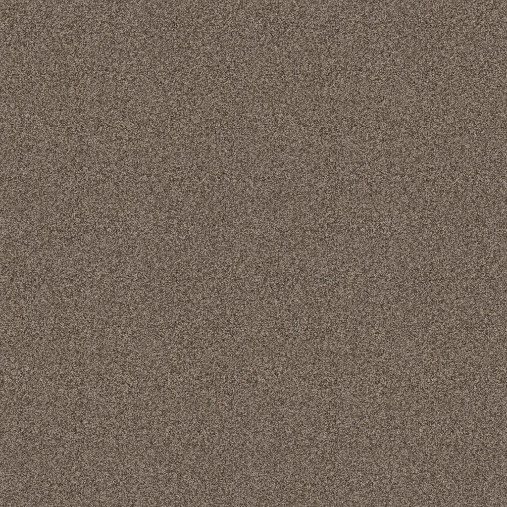 Worldwide Flooring Design Center COPA CABANA COPA CABANA Anderson Tuftex Floors