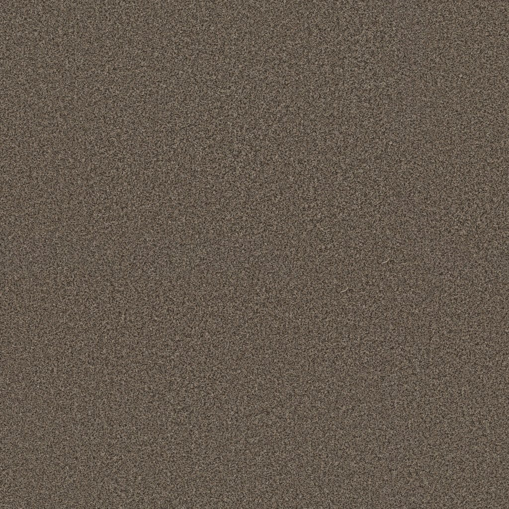 Worldwide Flooring Design Center EL DORADO EL DORADO Anderson Tuftex Floors